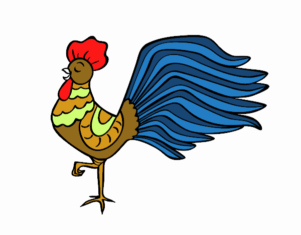 Gallo salvaje