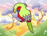 Guacamayo