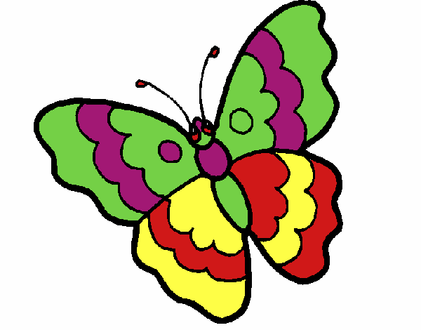 Mariposa 13