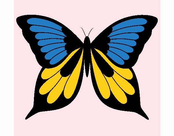 Mariposa 8