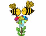 Pareja de abejas