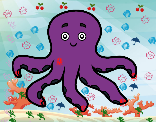 Pulpo infantil