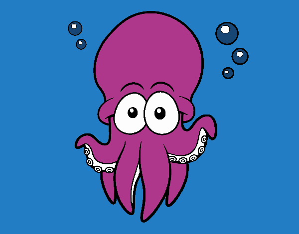 Pulpo rojo