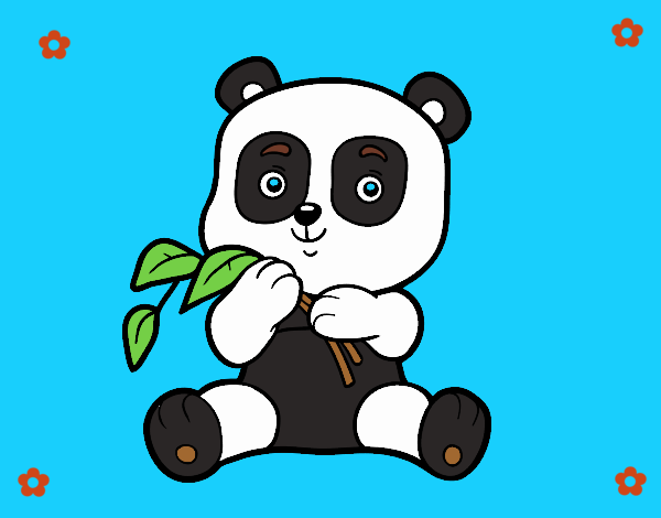 Un oso panda