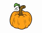 Una calabaza cucurbita