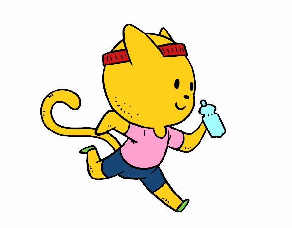 Gato runner