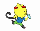 Gato runner