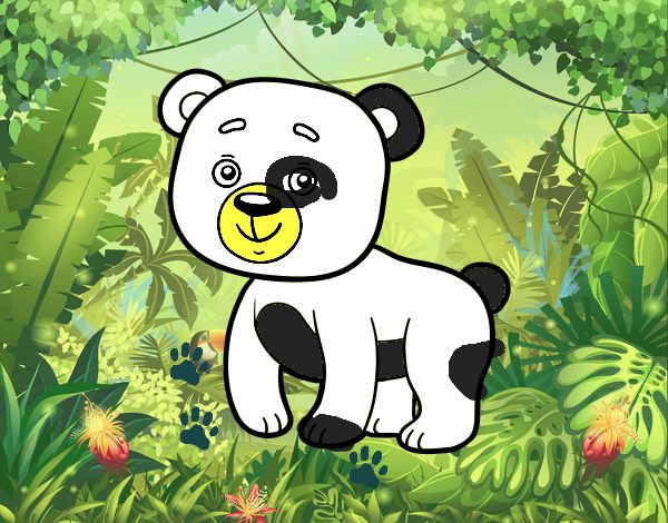 Osito panda