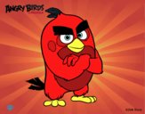 Red de Angry Birds