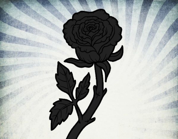 La Rosa Oscura 