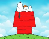 Snoopy durmiendo