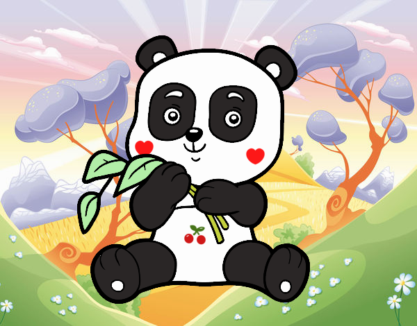 panda