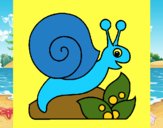 Caracol