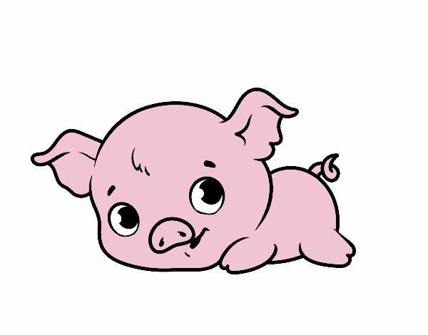 Cerdito bebé