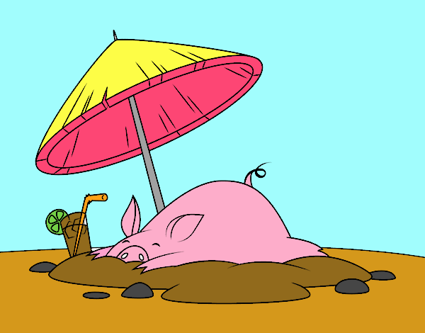 Cerdito en la playa