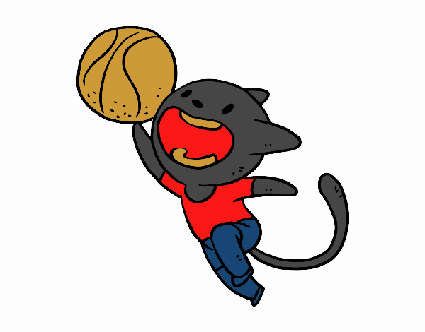 Gato jugando a baloncesto