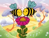 Pareja de abejas