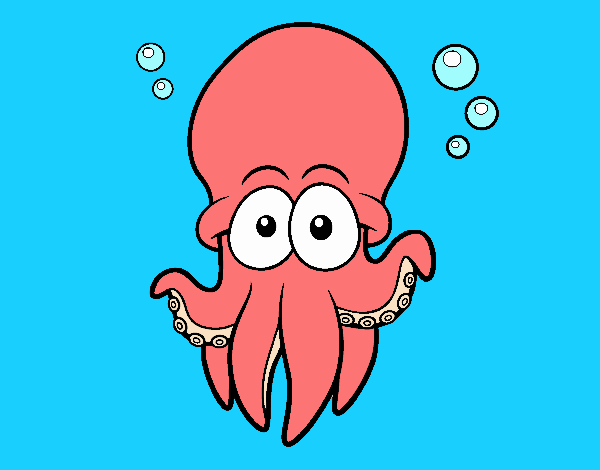 Pulpo rojo