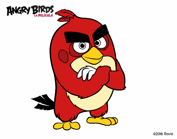 Red de Angry Birds