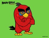 Red de Angry Birds