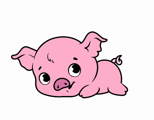 CERDITO BEBE 