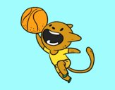 Gato jugando a baloncesto