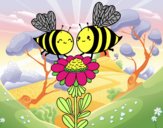 Pareja de abejas