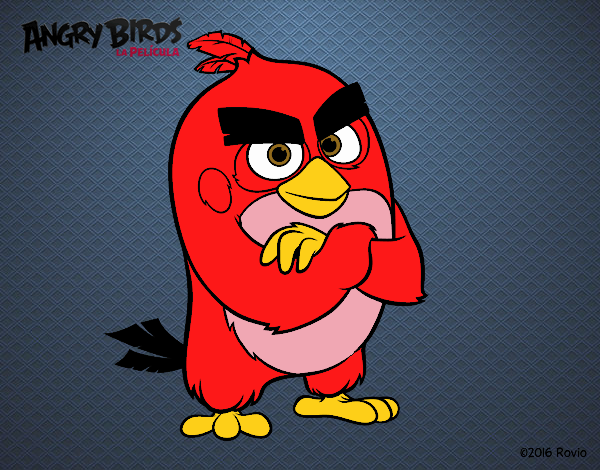 Red de Angry Birds