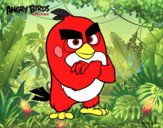 Red de Angry Birds