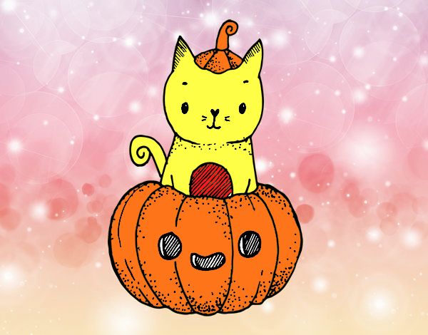 Un gatito de Halloween