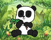 Un oso panda