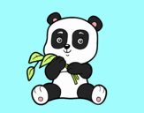 Un oso panda