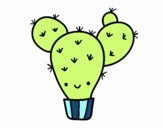 Cactus nopal