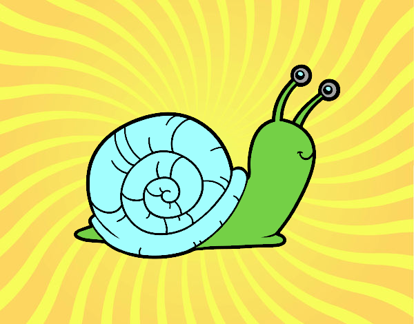 El caracol