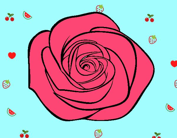 Flor de rosa