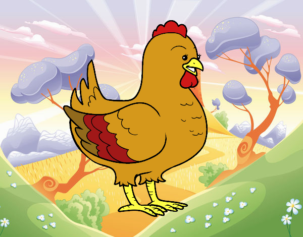 Gallina de una granja