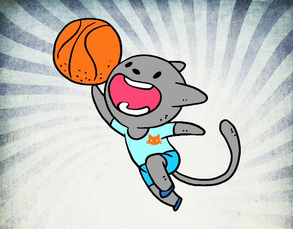 Gato jugando a baloncesto