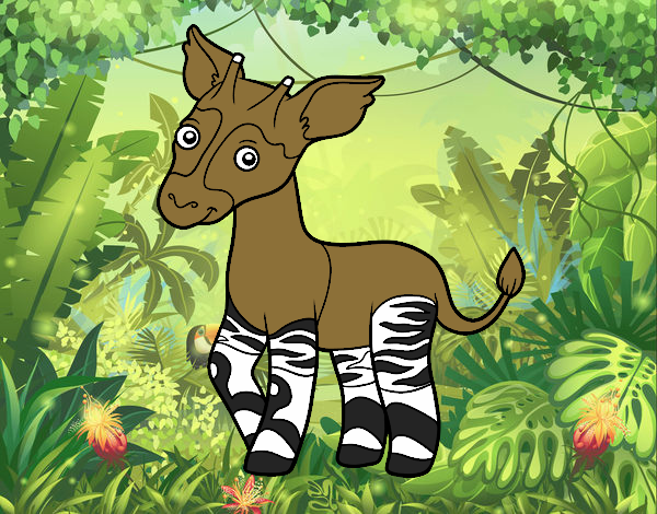 Okapi