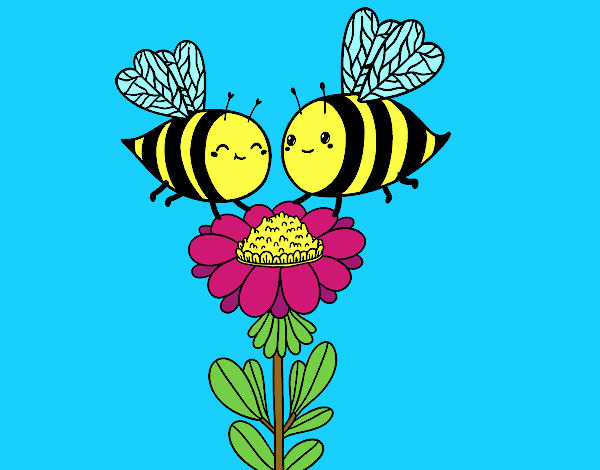 Pareja de abejas