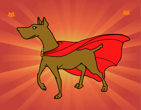 Perro superhéroe