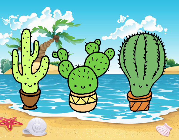 cactusinis