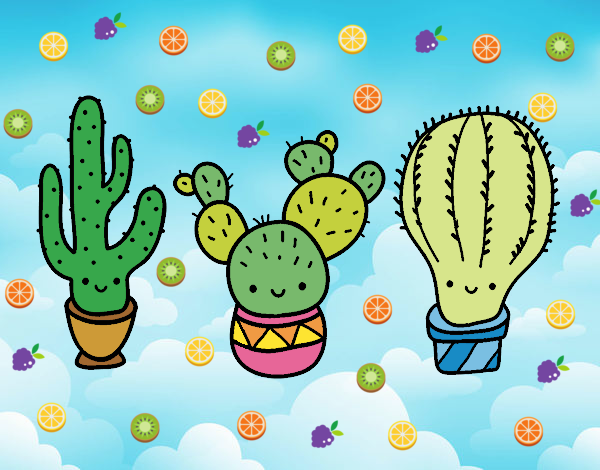 3 mini cactus