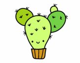 Cactus nopal