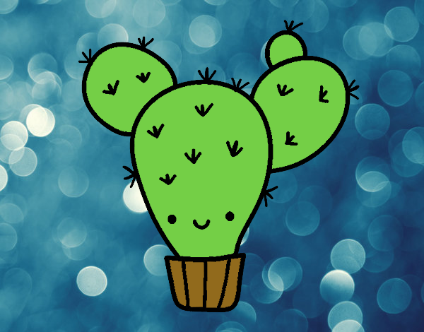 Mi cactus