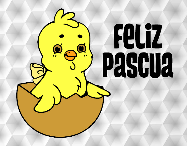 pollito del dia de las pascuas