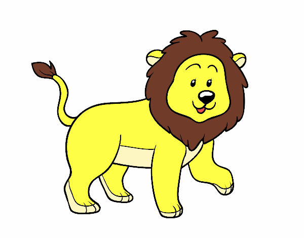 lion