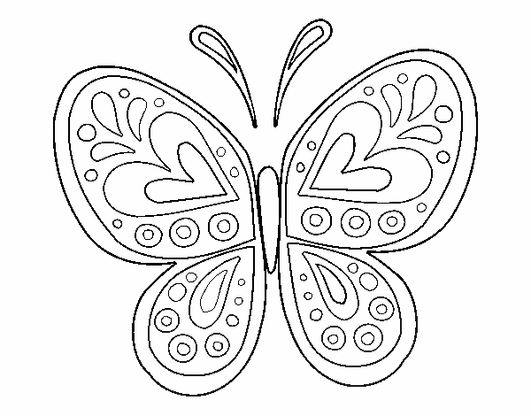 mandala mariposa