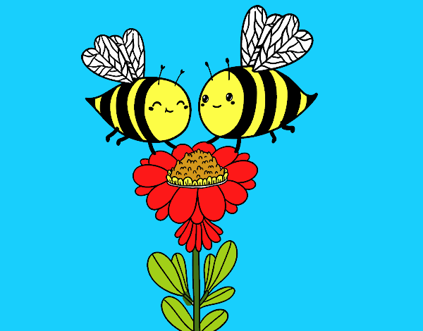 Pareja de abejas