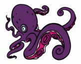 Pulpo enfadado