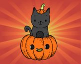 Un gatito de Halloween